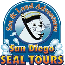 seals tour