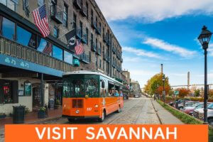 visit savannah mother's day