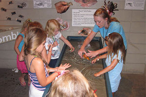 children at touch tank outdoor activity on tybee island