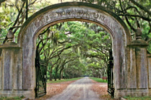 wormsloe entrance photo spot in savannah