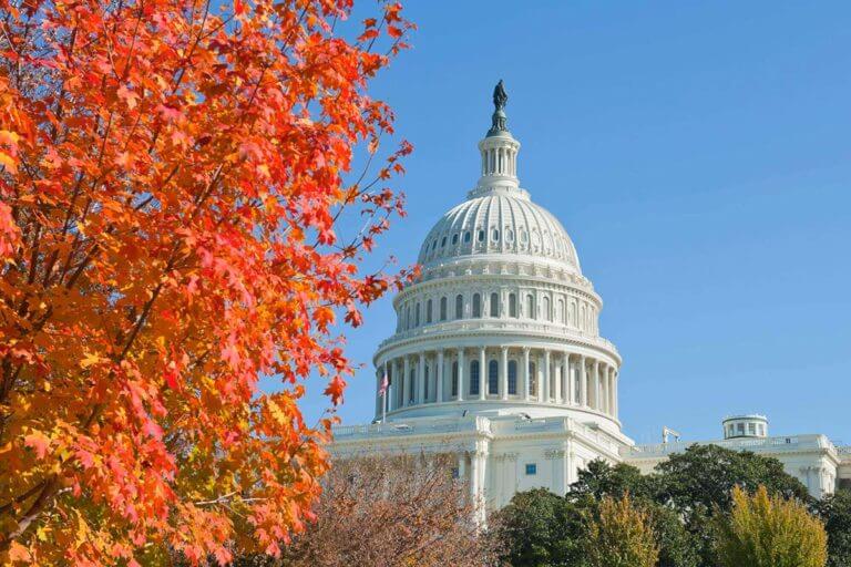 fall foliage at US capitol building in Washington dc
