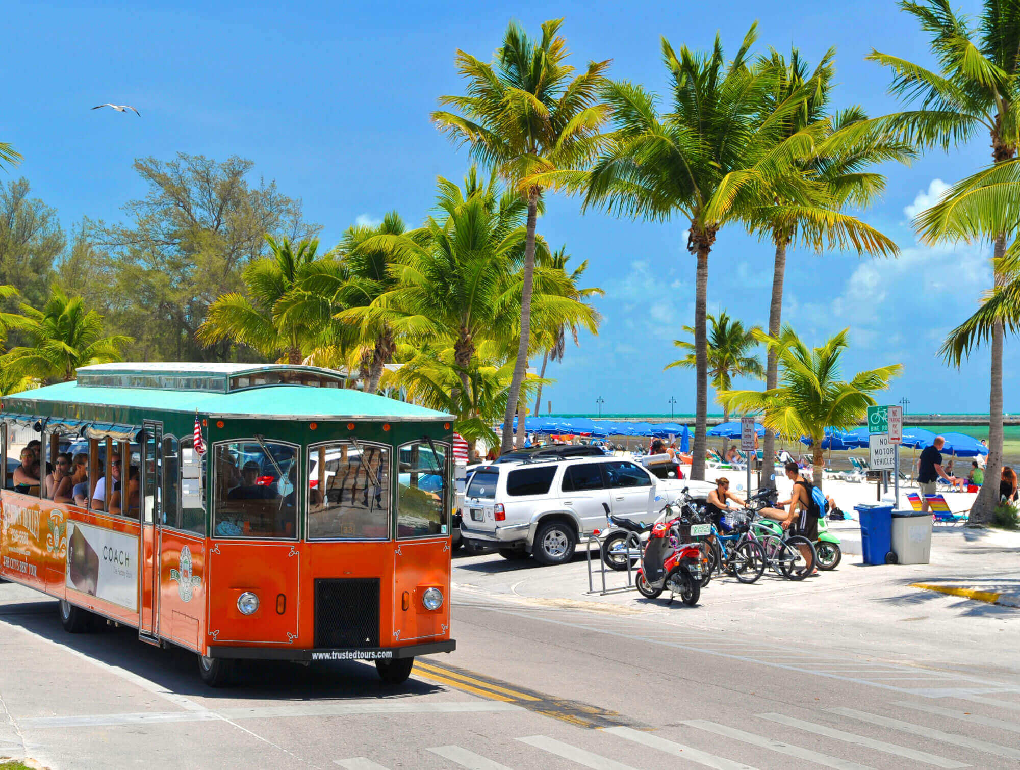 Old Town Trolley driving by a busy beach in Key West, FL