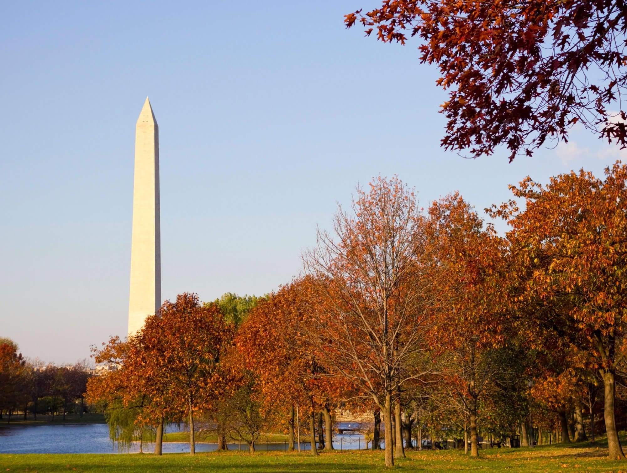 Trees leaves turning for fall semi-obscuring the Washington Monument in Washington DC