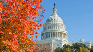 Things To Do In The Fall - Mid-range view of the top of the Capitol Building flanked in the foreground by a tree with red fall colored leaves in Washington DC