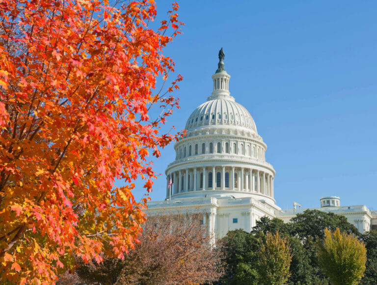 Mid-range view of the top of the Capitol Building flanked in the foreground by a tree with red fall colored leaves in Washington DC