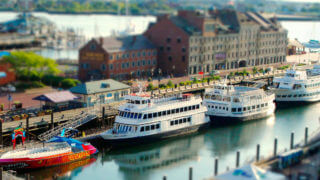 boston harbor cruise