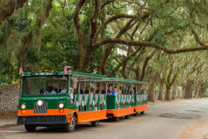 St. Augustine old town trolley driving past a canopy of oak trees