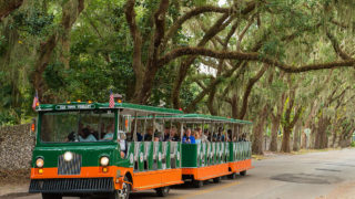 Rainy Day Activities in St. Augustine - St. Augustine old town trolley driving past a canopy of oak trees