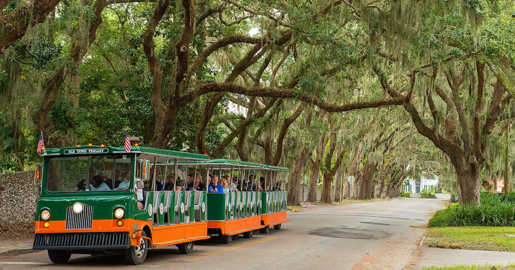 St. Augustine old town trolley driving past a canopy of oak trees