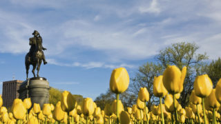 How To See Boston in 2 Days - statue of George Washington in the background and yellow tulips in foreground