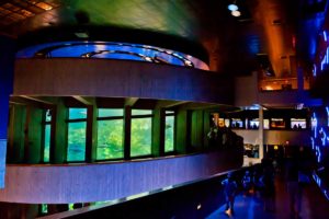 boston new england aquarium