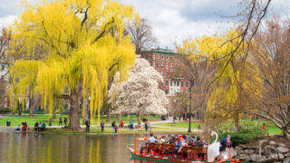 Boston Attractions - boston public garden