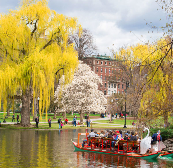 Boston Tour Platinum Package Hop On Hop Off Boston Sightseeing Tours