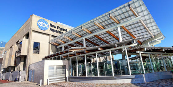 Outside the New England Aquarium