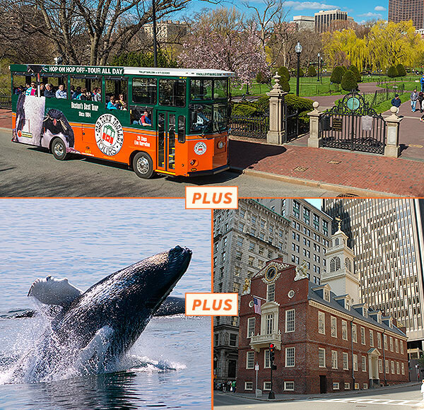 new england aquarium whale watch promo code 2019