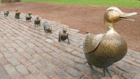 duckling day parade