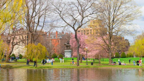 2 Copley Place Boston Cresa