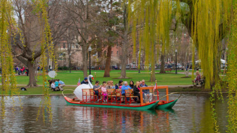 swan ride unique things to do boston