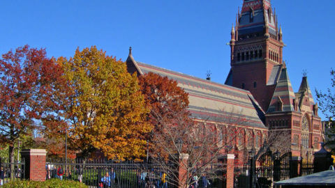 boston harvard university