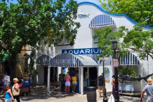 key west aquarium