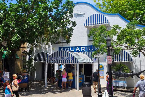 Image of the Key west Aquarium.