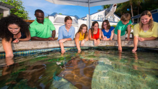 Key West Attractions - key west aquarium