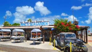Fun Facts About Key West - key west facts mac sea garden