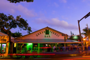 key-west-green-parrot