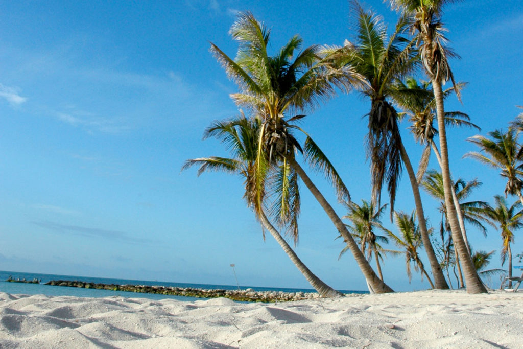 key west higgs beach