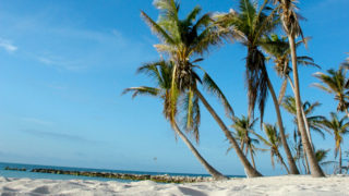 The 6 Best Beaches in Key West – The. Best. Escape. Anyone. Can. Have. - key west higgs beach