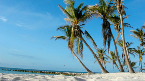 key west higgs beach