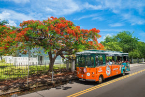 old town trolley in key west driving past key west home and tree bearing tropical flowers