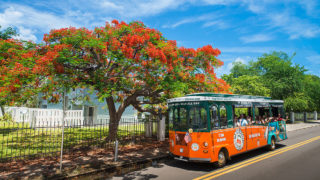 old town trolley in key west driving past key west home and tree bearing tropical flowers