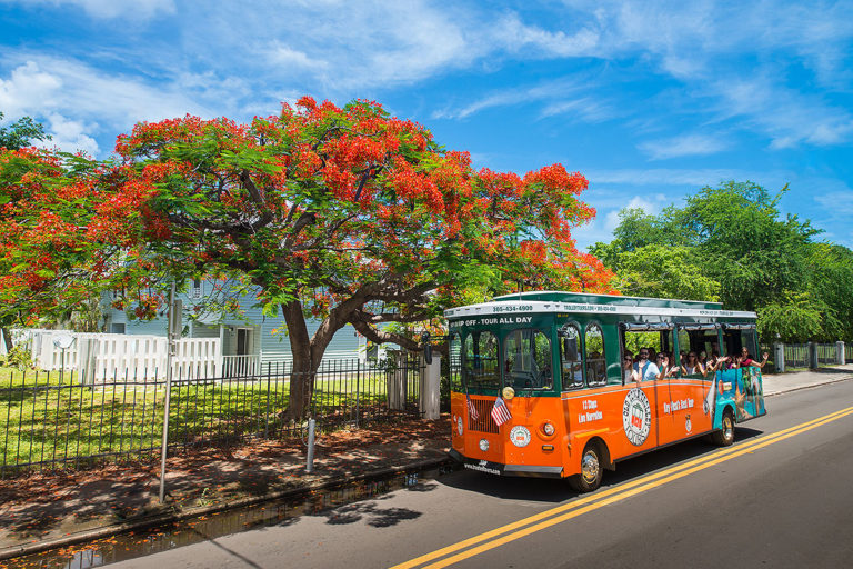 old town trolley in key west driving past key west home and tree bearing tropical flowers