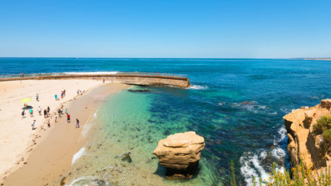 Children's Pool Beach in La Jolla