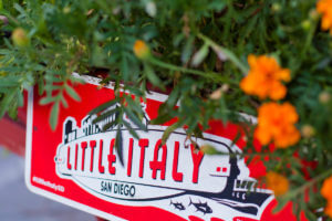 little Italy sign in san diego california