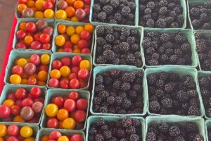 Nashville Farmers' Market produce