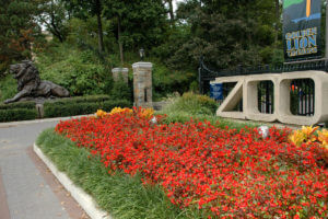 national zoo in Washington DC