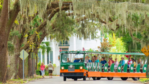 sightseeing in st. augustine aboard old town trolley