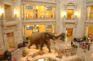 Smithsonian Museum of Natural History