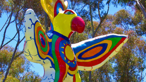 san diego art by niki de st phalle