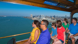 Things to Do in San Diego During the Spring - san diego hop on hop off tours