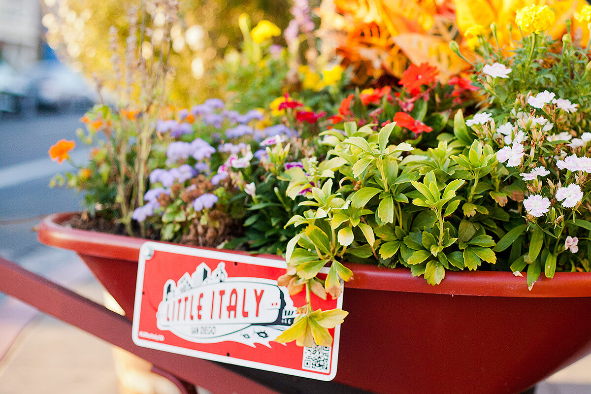 Flowers in San Diego's Little Italy