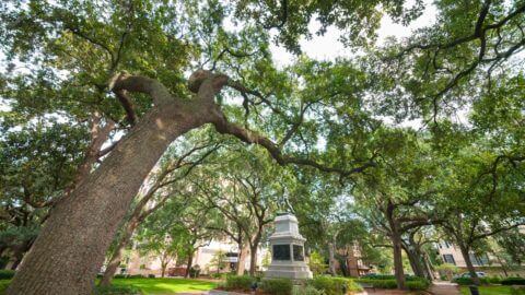 savannah colonial district