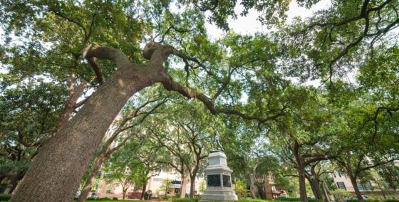 quick driving tour of savannah savannah emmet park