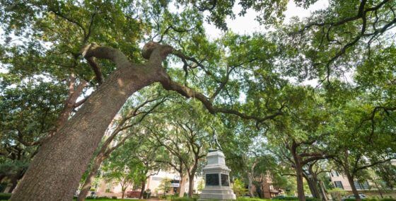 savannah emmet park