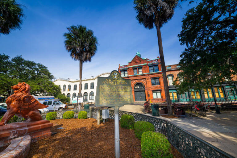 Savannah Location