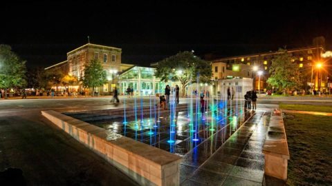 savannah ellis square