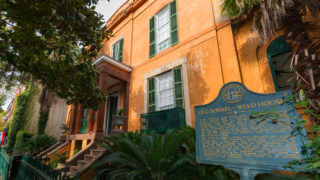 savannah sorrel weed house