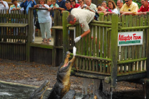 st augustine alligator farm